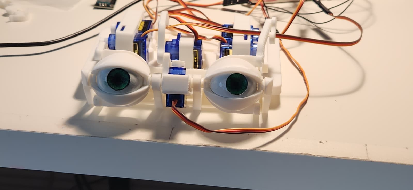 Eyeballs